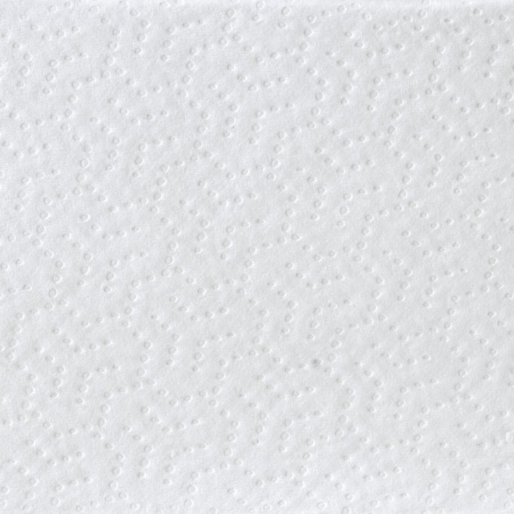 Полотенца бумажные 200 шт Laima H2 ADVANCED WHITE 2-сл. белые к-т 20 пачек 24х215 111338 (1) (91982)