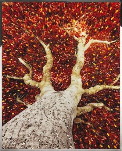 Картина Дерево с кристаллами Swarovski (2378)