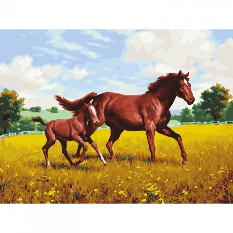Картина по номерам 40х50 см ОСТРОВ СОКРОВИЩ Лошади на лугу на подрамн 662464 (1) (95422)