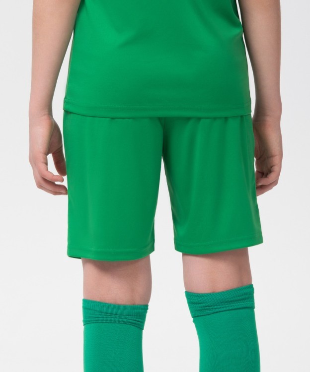 Шорты игровые CAMP Classic Shorts, зеленый/белый, детский (702551) Шорты игровые CAMP Classic Shorts, зеленый/белый, детский (702551)