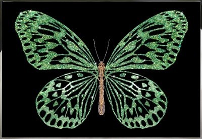Картина Зеленая бабочка с кристаллами Swarovski (2376)