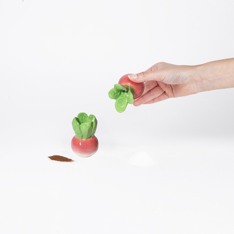 Набор из солонки и перечницы radish (80190)