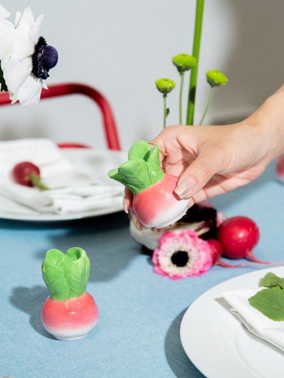 Набор из солонки и перечницы radish (80190)