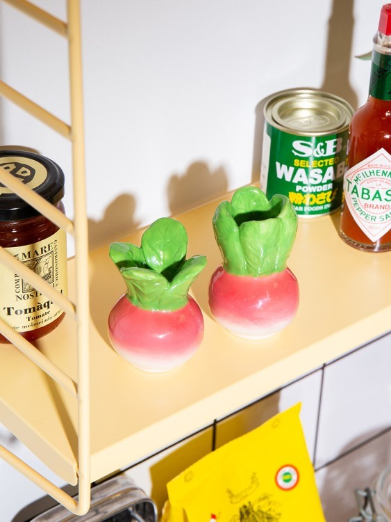 Набор из солонки и перечницы radish (80190)