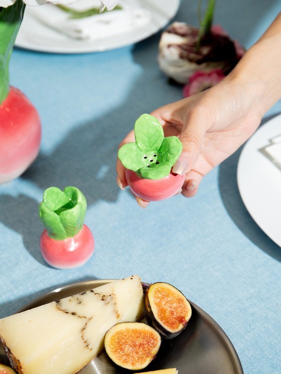 Набор из солонки и перечницы radish (80190)