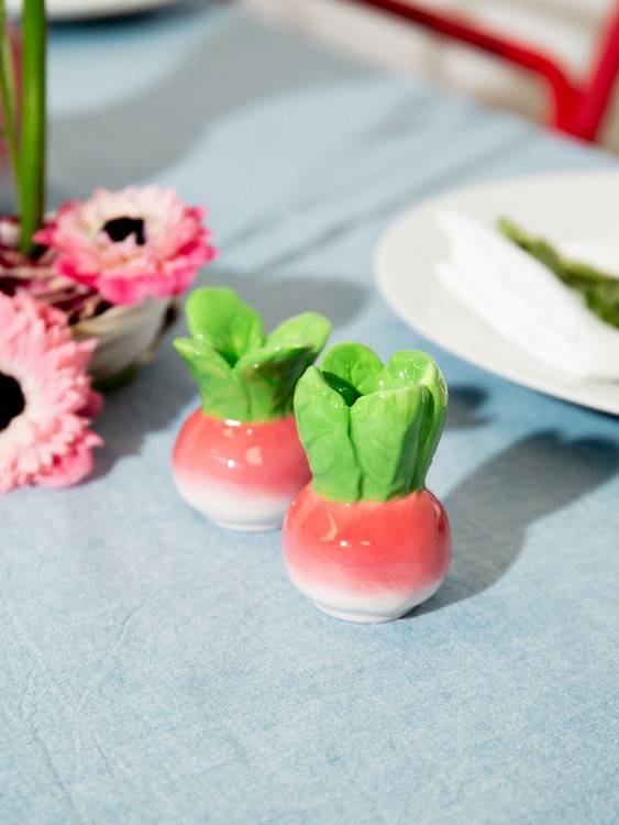 Набор из солонки и перечницы radish (80190)