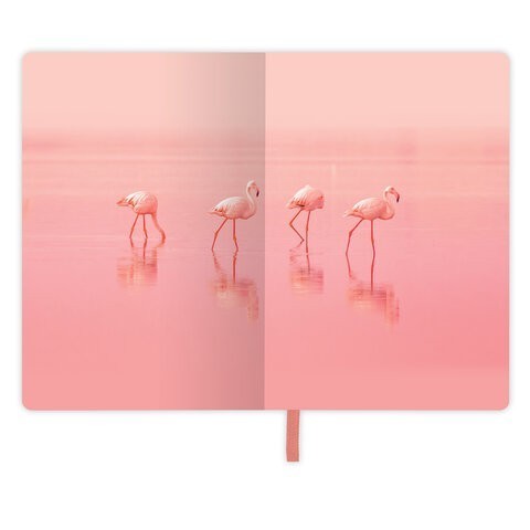 Блокнот А6 Brauberg Vista Flamingo 80 листов клетка 112099 (2) (85633)