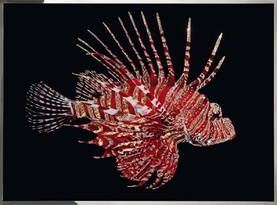 Картина Рубиновая рыба-зебра с кристаллами Swarovski (2368)