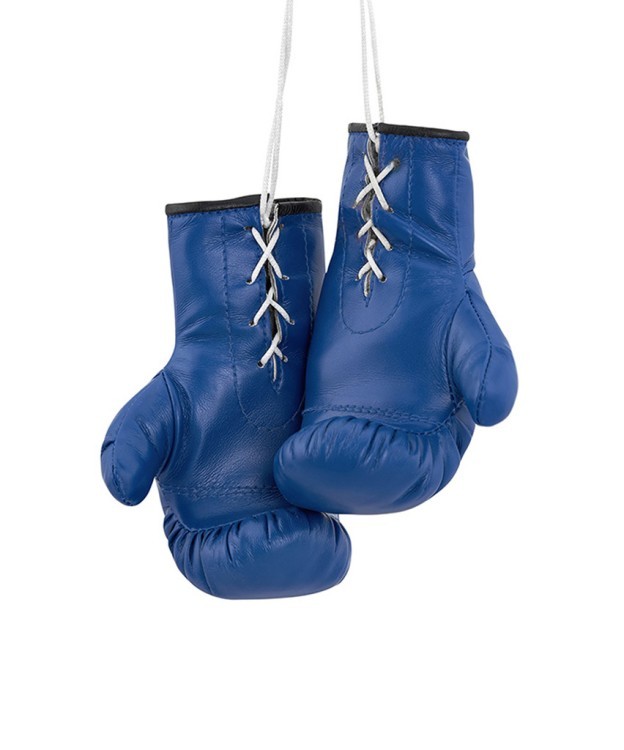 Перчатки боксерские AG-1008FBR сувенирные, синий (2072889)