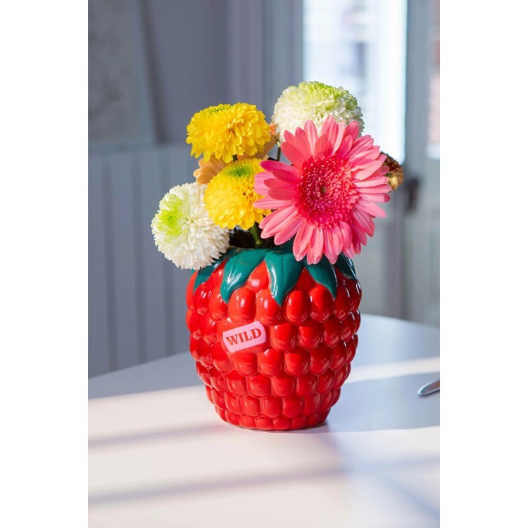 Ваза для цветов raspberry, 20 см (77306)