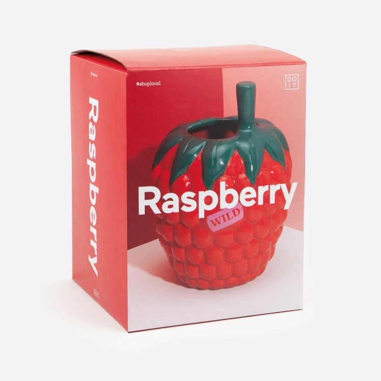 Ваза для цветов raspberry, 20 см (77306)
