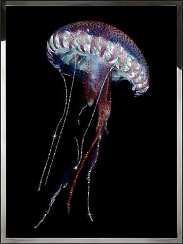 Картина Синяя медуза с кристаллами Swarovski (2374)