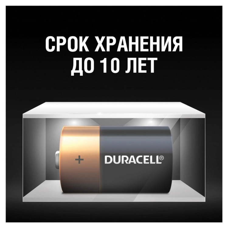 Батарейки алкалиновые Duracell Basic LR20 (D) 2 шт MN1300DLR20 (450401) (2) (65528)
