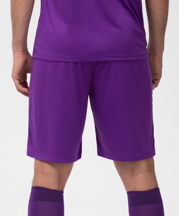 Шорты игровые CAMP Classic Shorts, фиолетовый/белый (702614) Шорты игровые CAMP Classic Shorts, фиолетовый/белый (702614)