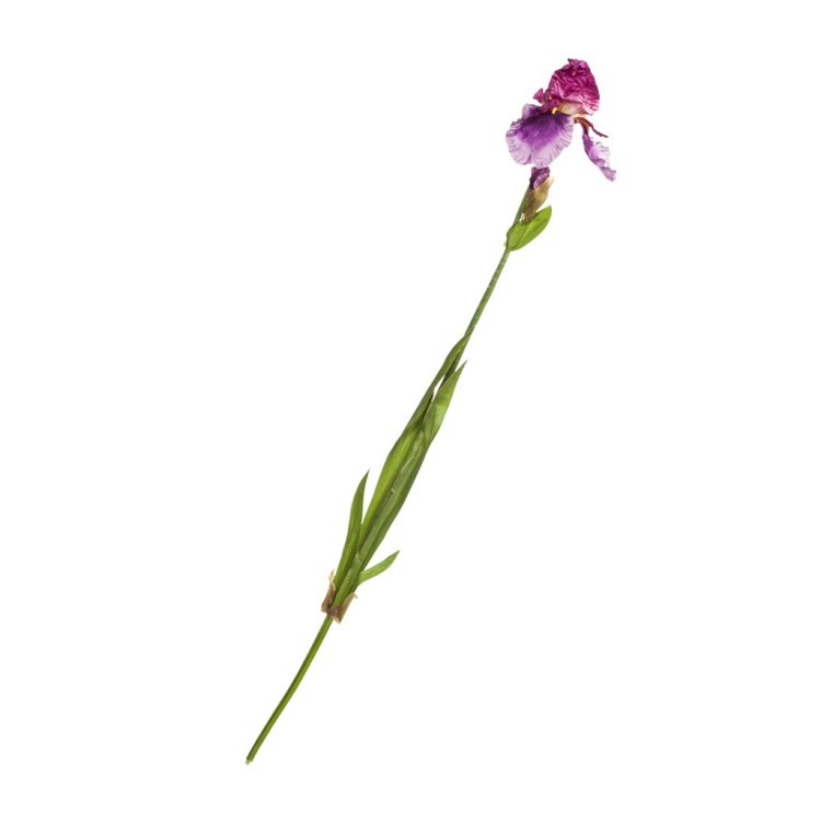 Ирис 104716, Обработанная ткань, пластик, mixed, SILK-KA