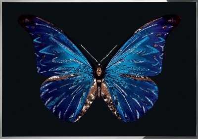 Картина Синяя бабочка с кристаллами Swarovski (2377)