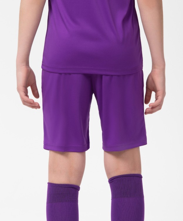 Шорты игровые CAMP Classic Shorts, фиолетовый/белый, детский (702621) Шорты игровые CAMP Classic Shorts, фиолетовый/белый, детский (702621)