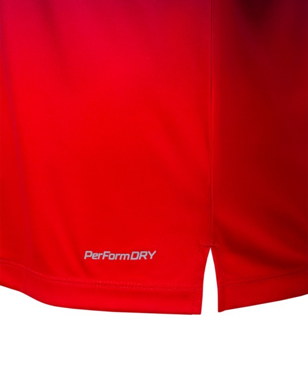 Футболка тренировочная JOGEL NATIONAL PerFormDRY Pre-Match Tee, сине-красный (2113269)