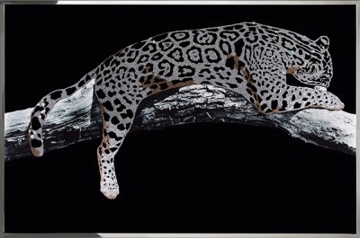 Картина Серебряный леопард с кристаллами Swarovski (2363)